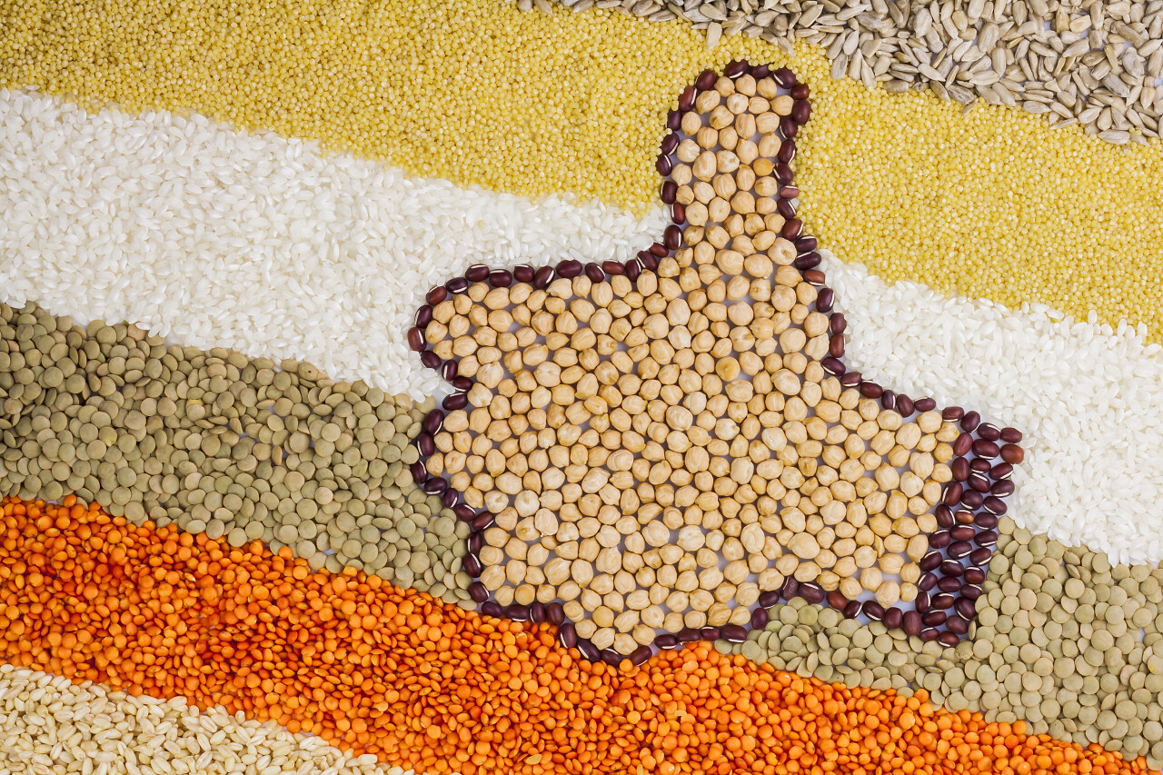 五谷豆子黄豆有机鹰嘴豆红豆健康的生活方式