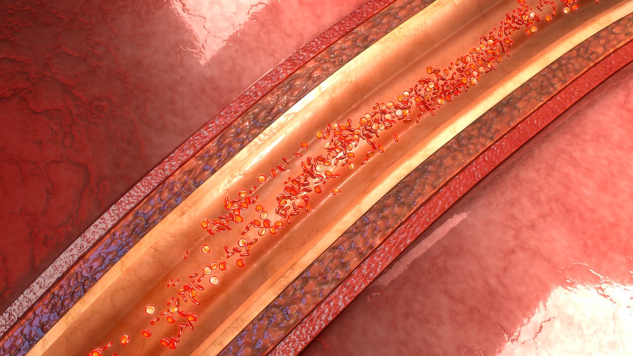 血液细胞人体器官透视图身体内部血管器官