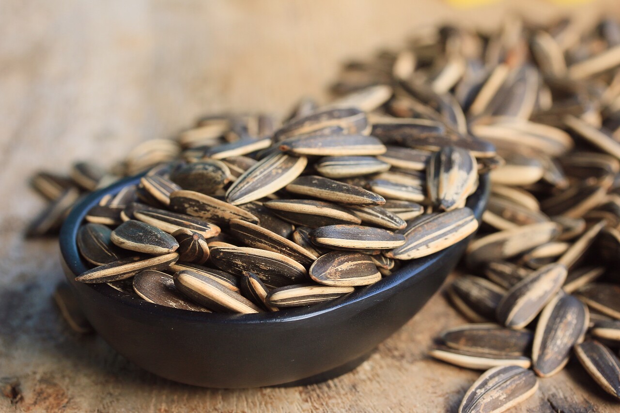 散落葵花子散落瓜子黑瓜子黑色瓜子