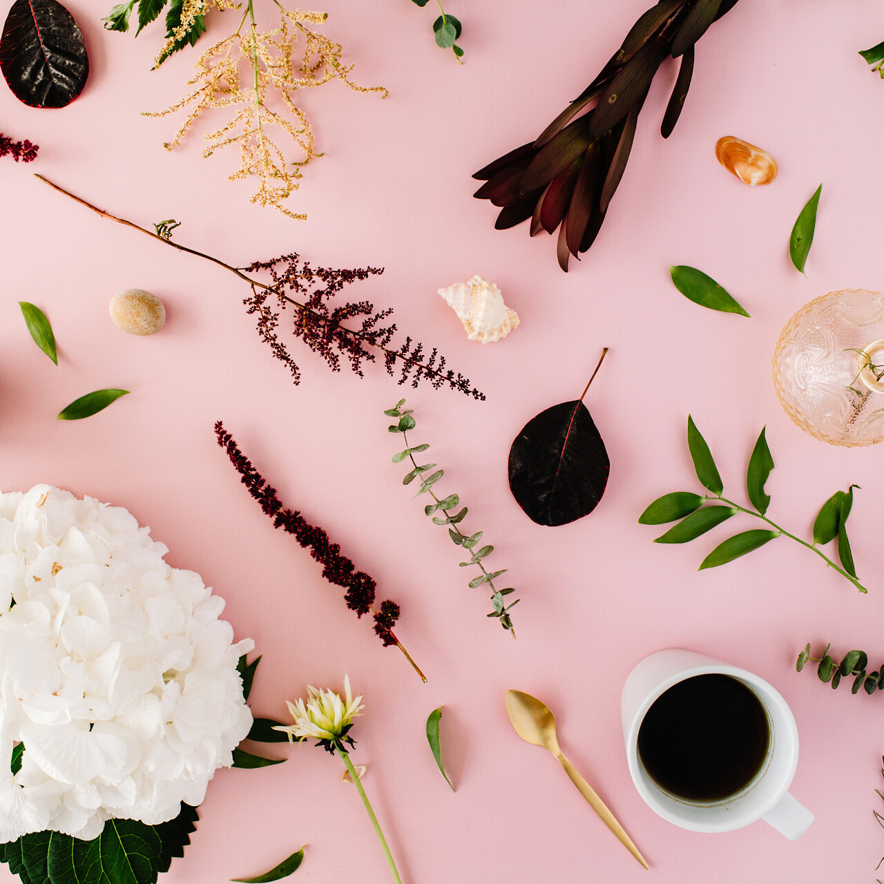 俯视角度花枝树枝树叶创意装饰咖啡杯