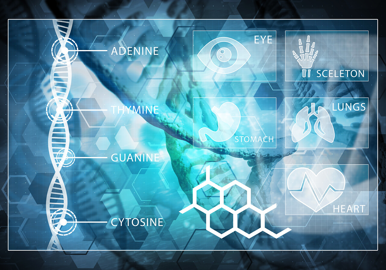 双螺旋结构分子和染色体