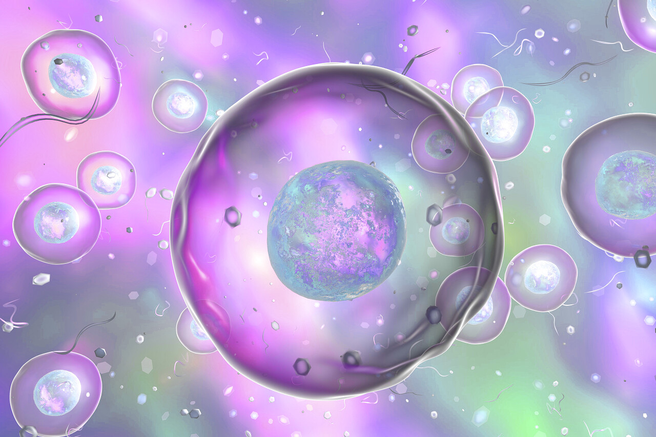 细胞微生物细胞细菌生物微生物细菌