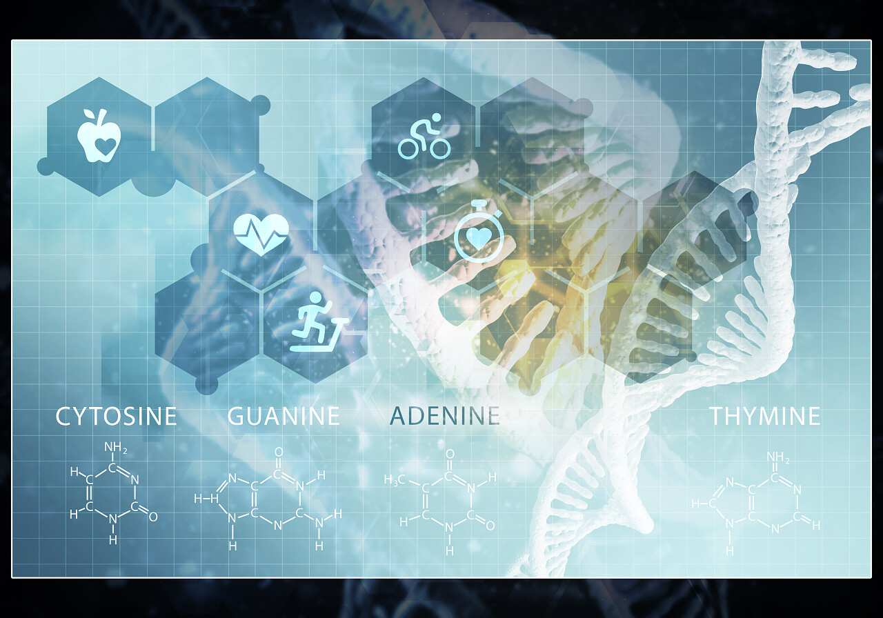 双螺旋结构分子和染色体