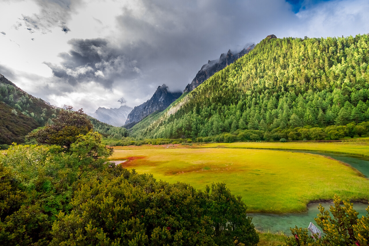 蓝天白云下一望无际广阔的草地田野自然风景图四川旅游·