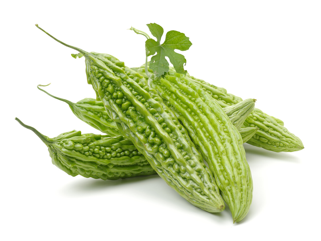 二十四节气夏至24节气白色背景上的苦瓜