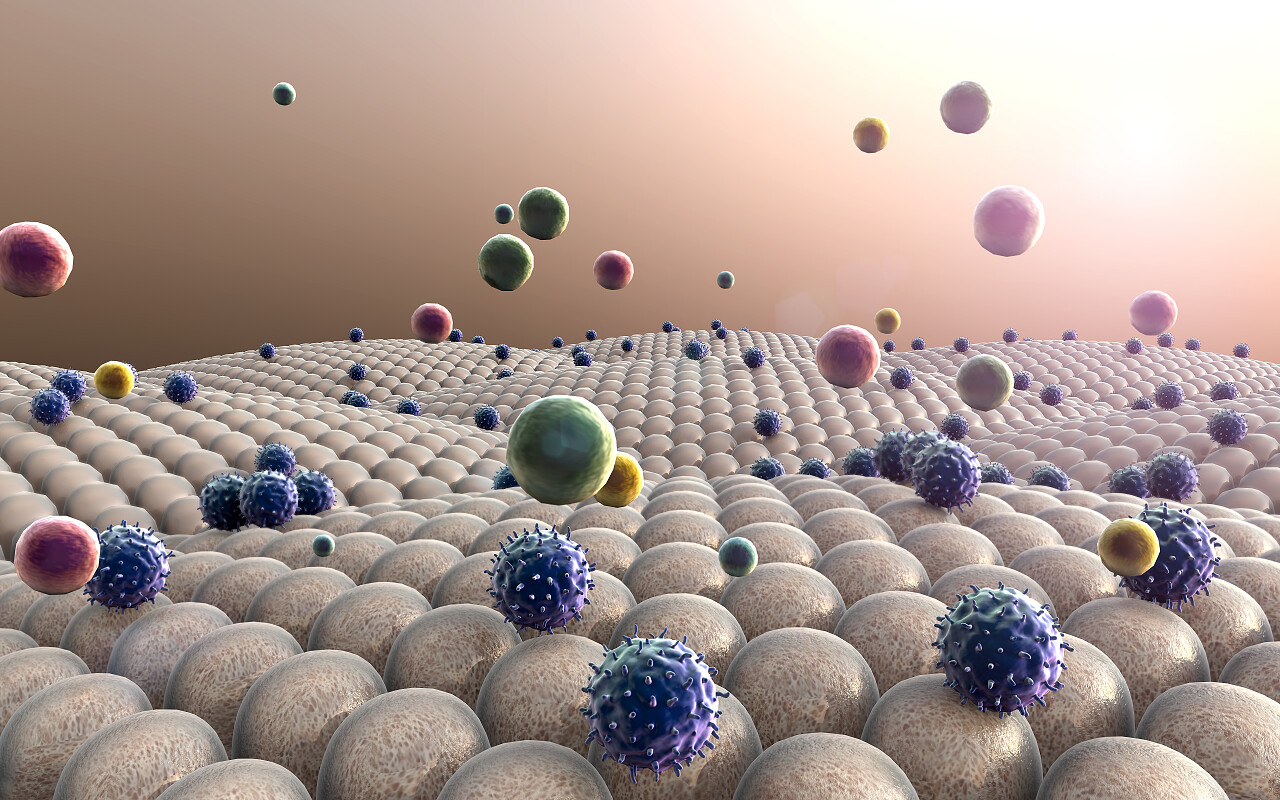 巨噬细胞攻击肺细胞以及人类免疫系统的作用