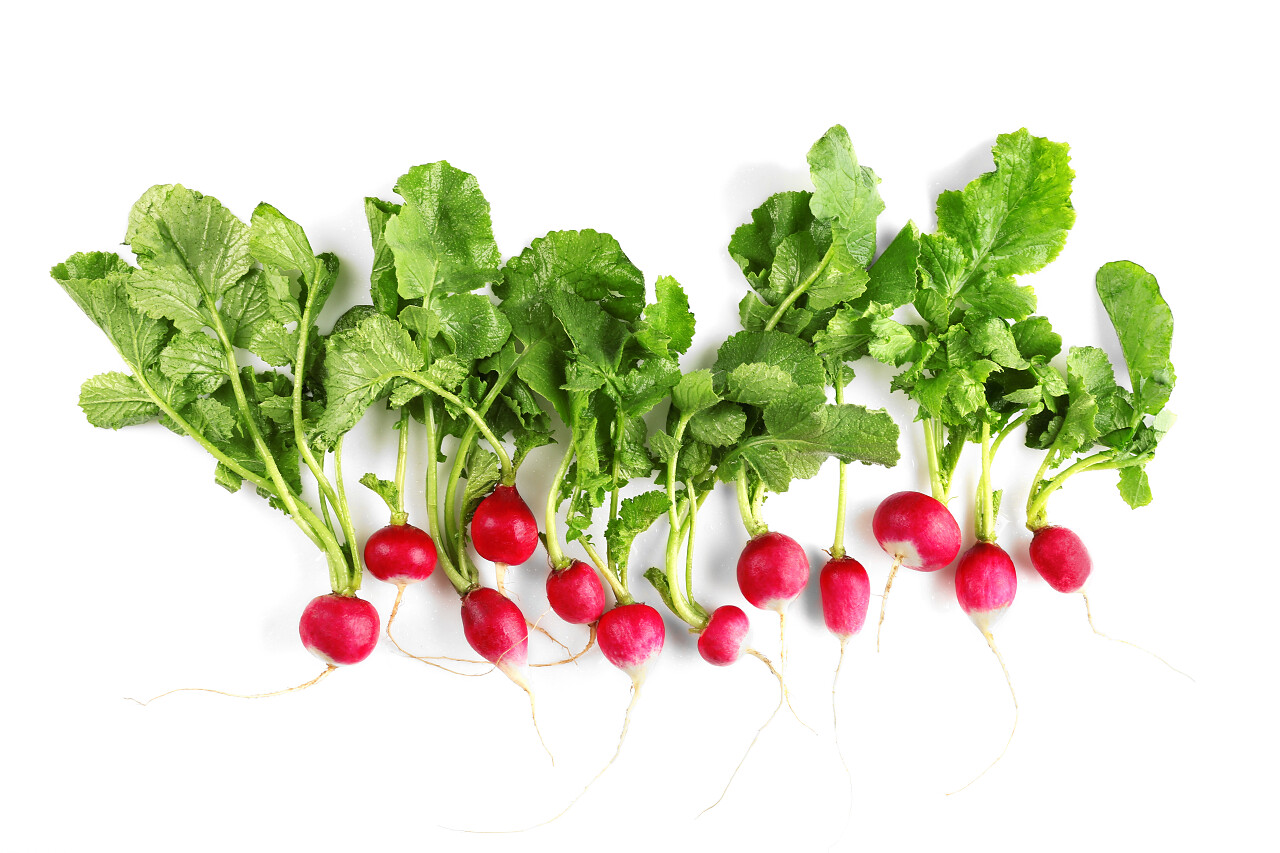 白色背景上的萝卜