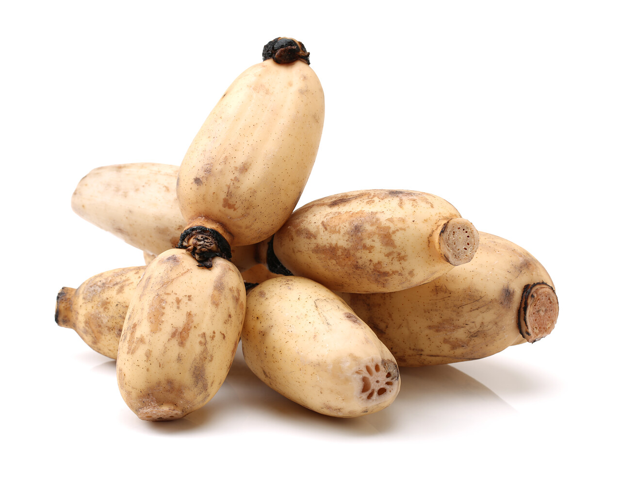 莲藕在白色背景上