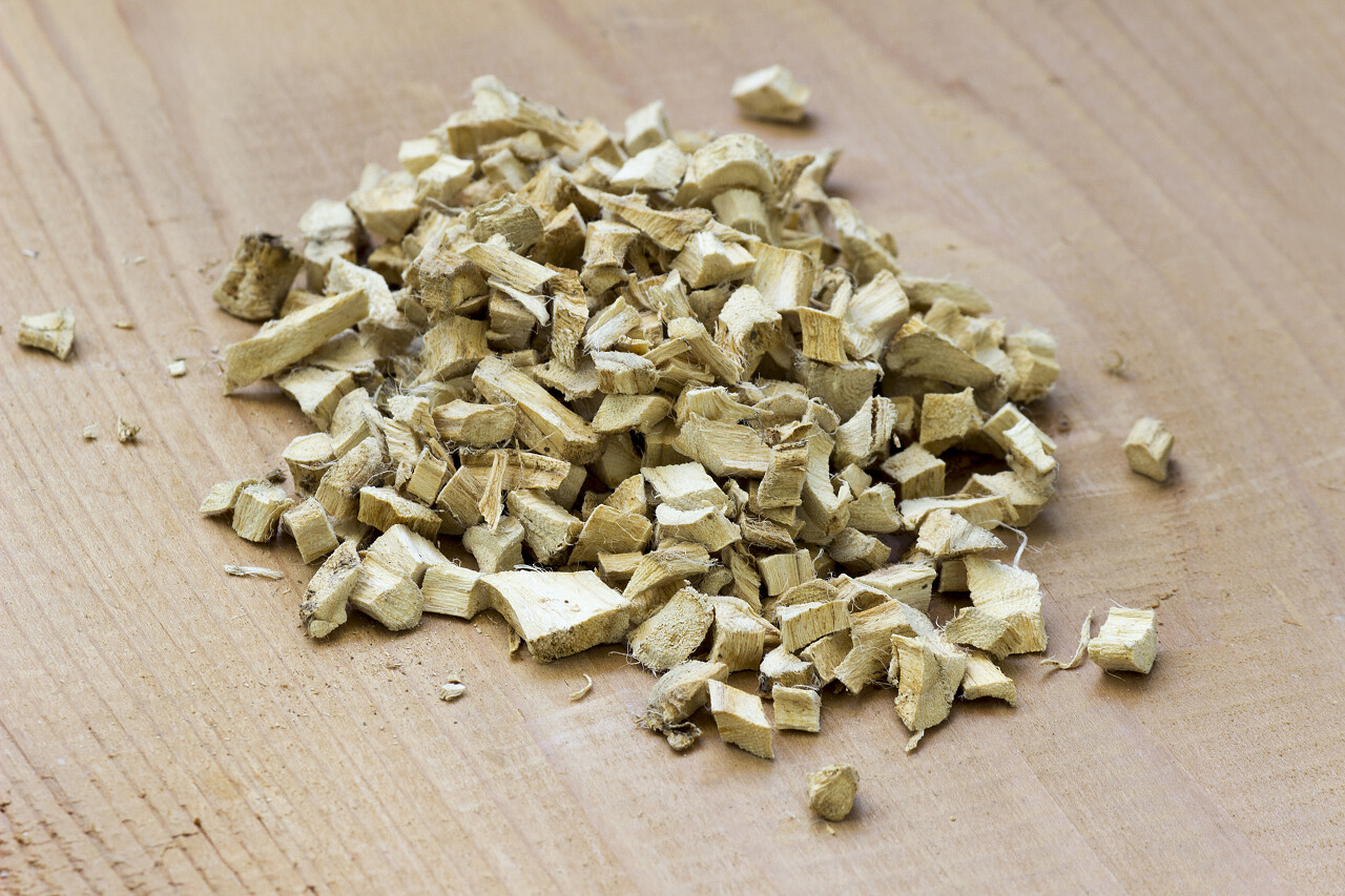 一些植物根在座子上