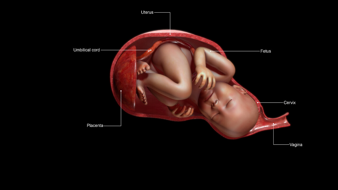 正常分娩和阴道分娩图