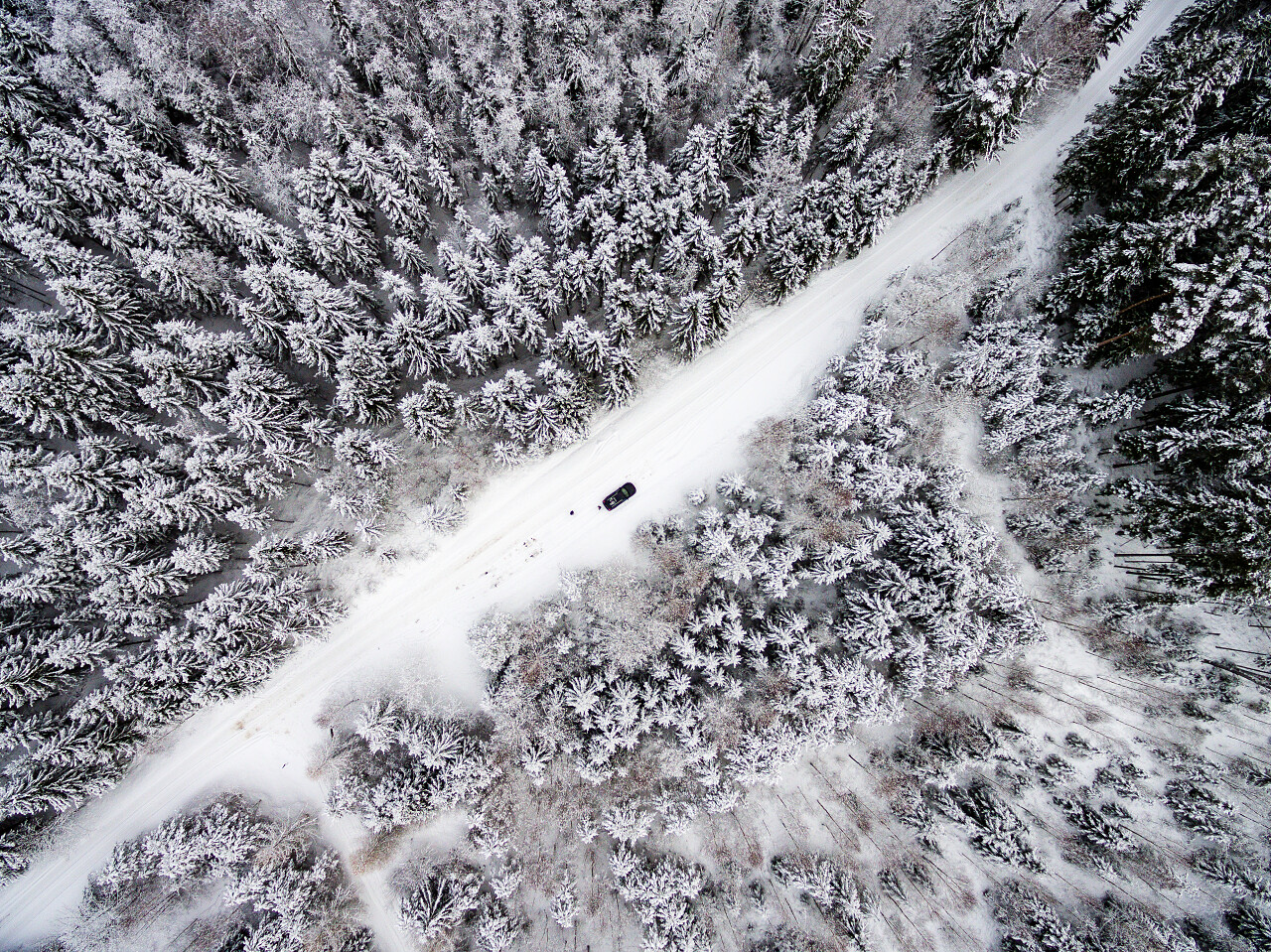 冬季森林的空中景观二十四节气立冬小雪大雪冬至小寒大寒