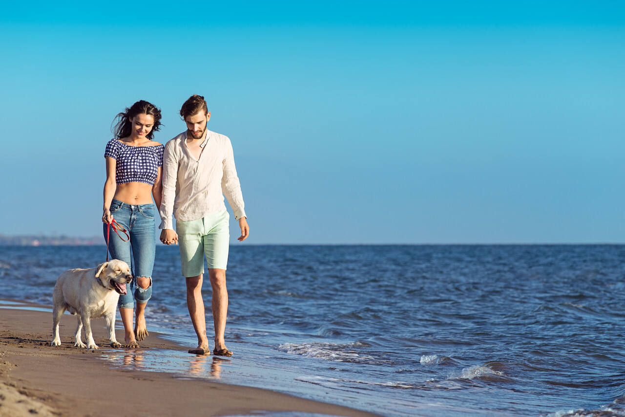 两个年轻人与狗走在沙滩上幸福情侣幸福的人