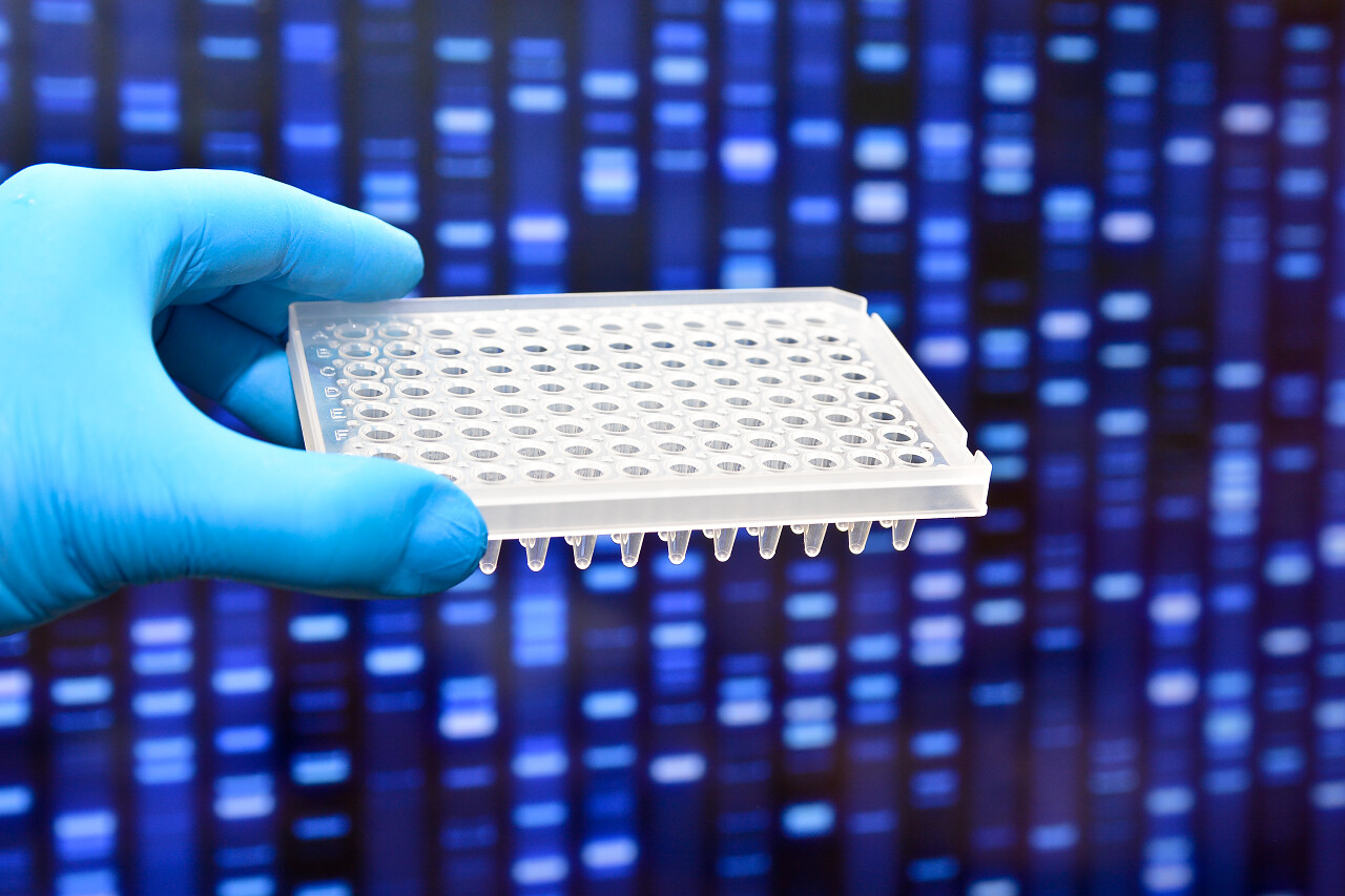 在科学研究实验室.