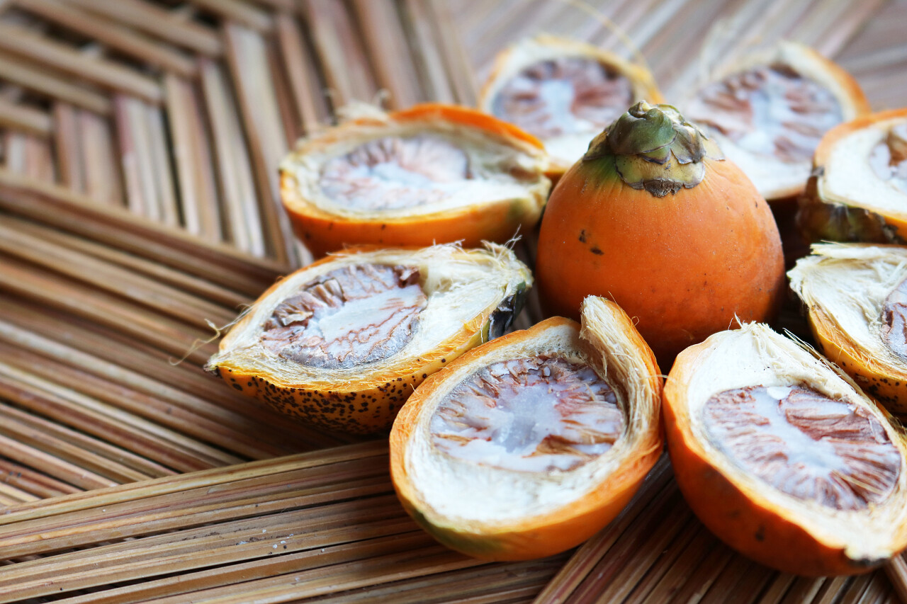 椰子槟榔的特写镜头