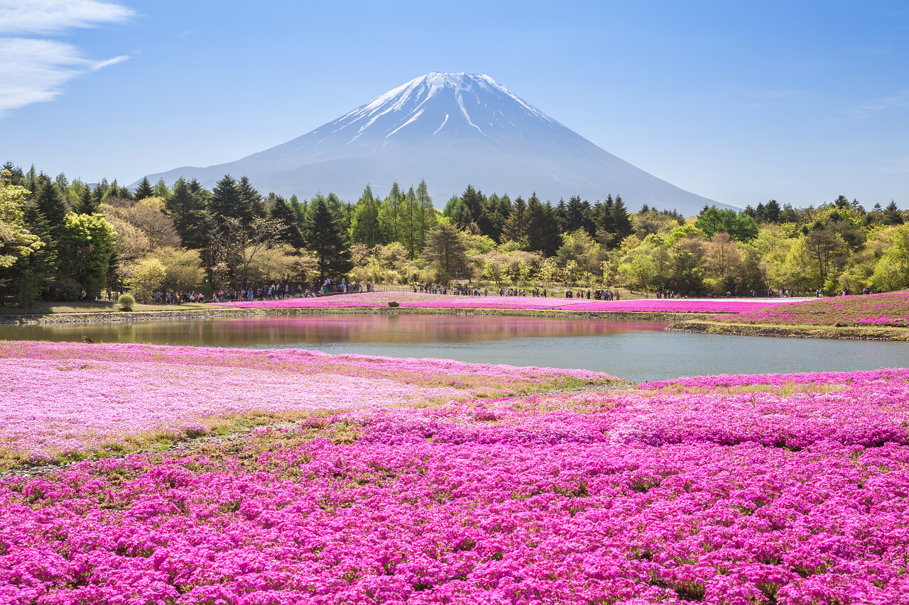 日本山富士风景日本旅游