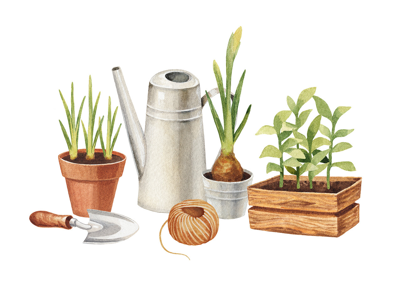 园林工具的水彩手绘插图