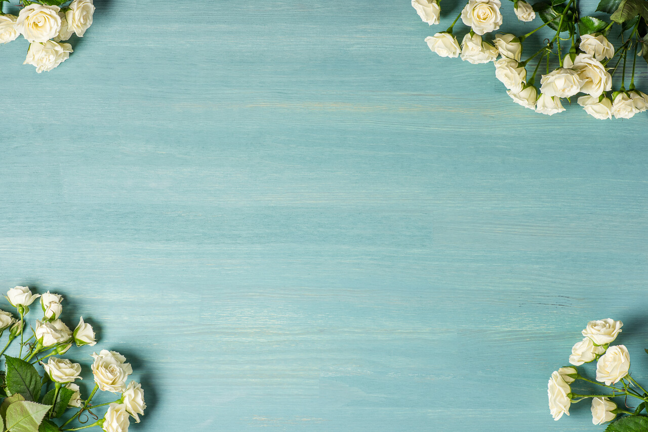 母亲节花束背景