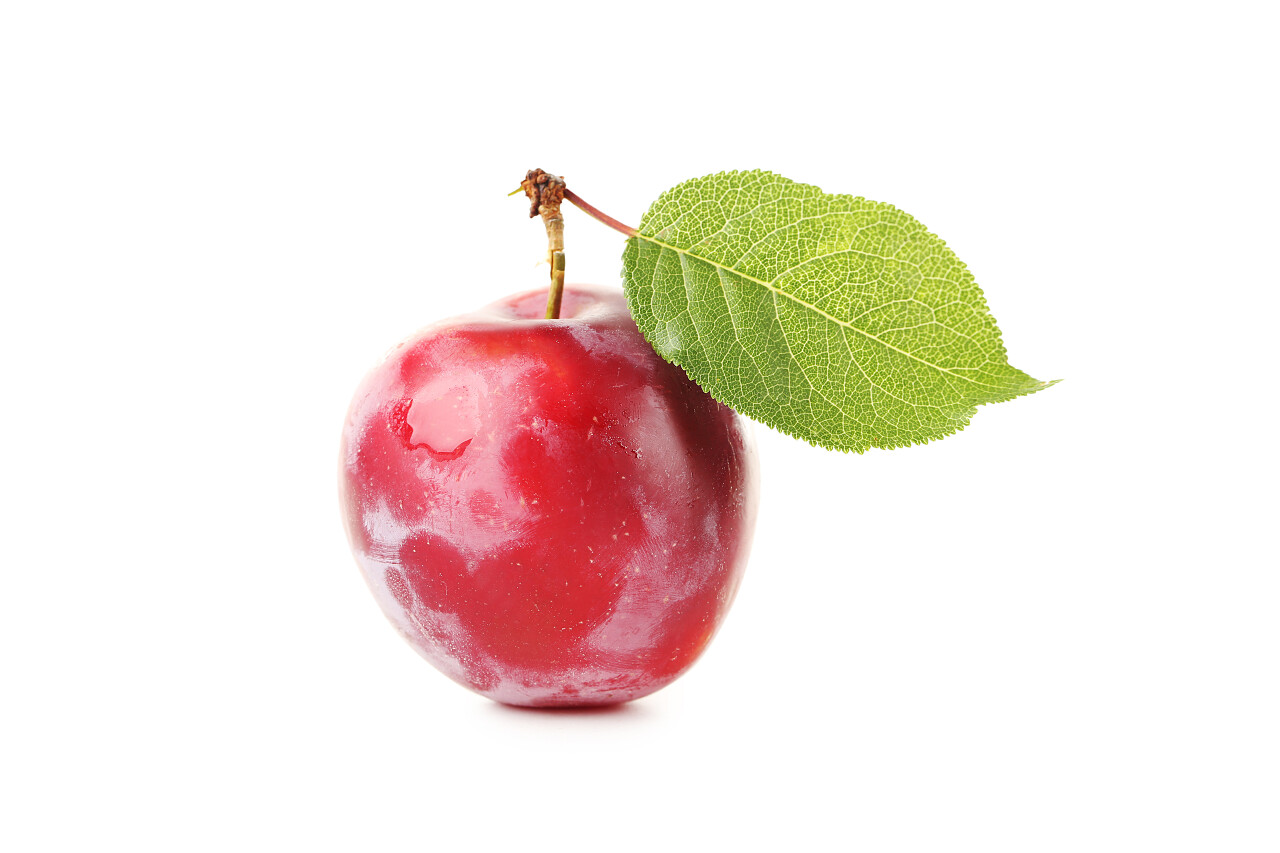 新鲜美味的李子在一张白纸