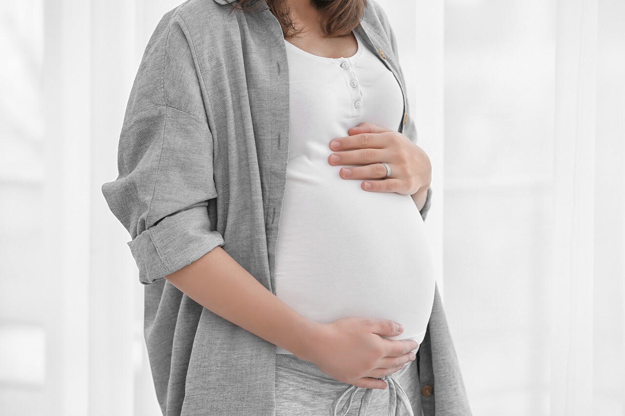 站在窗口在家里附近的美丽孕妇