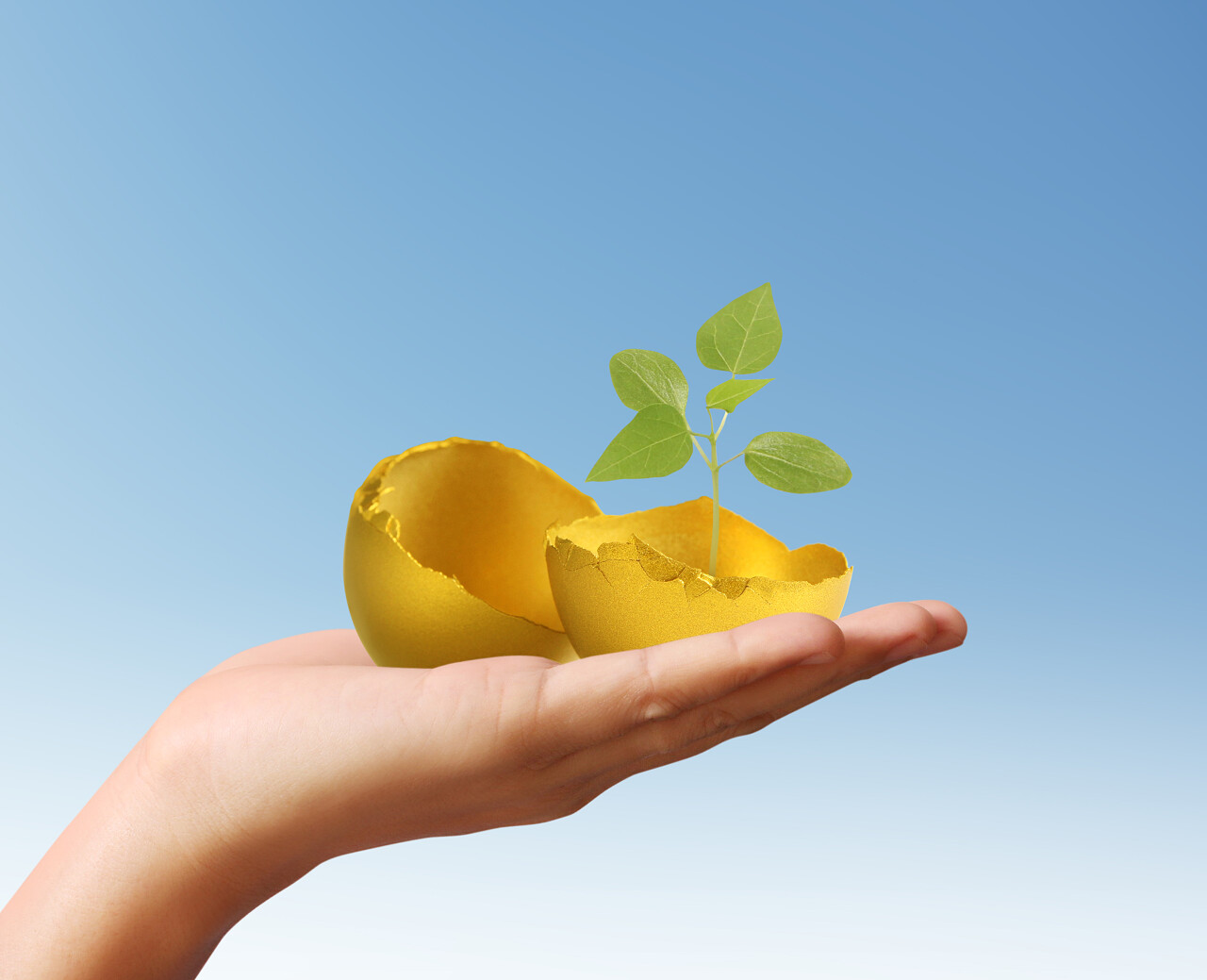 手中拿着的金蛋