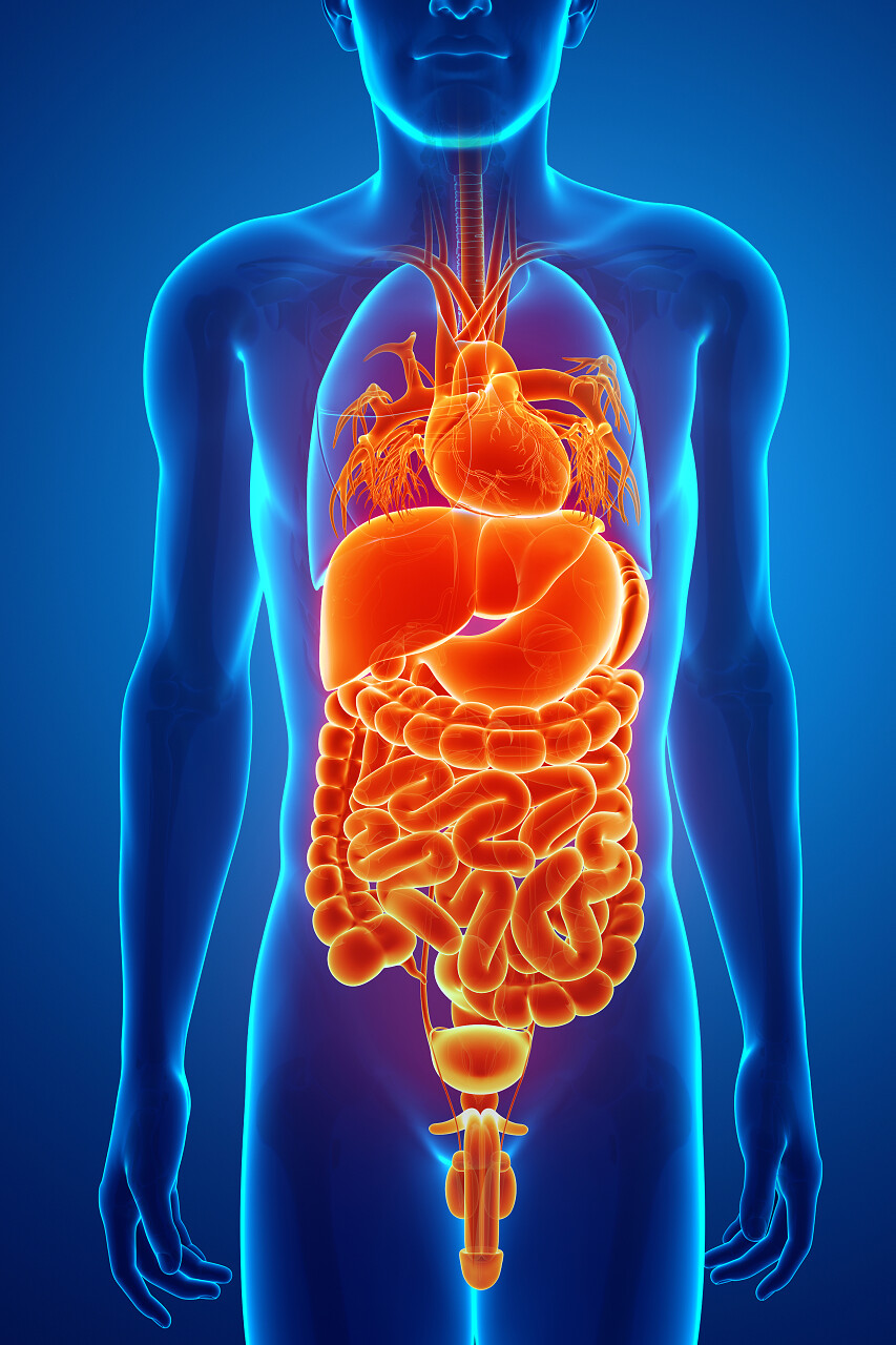 消化系统生病
