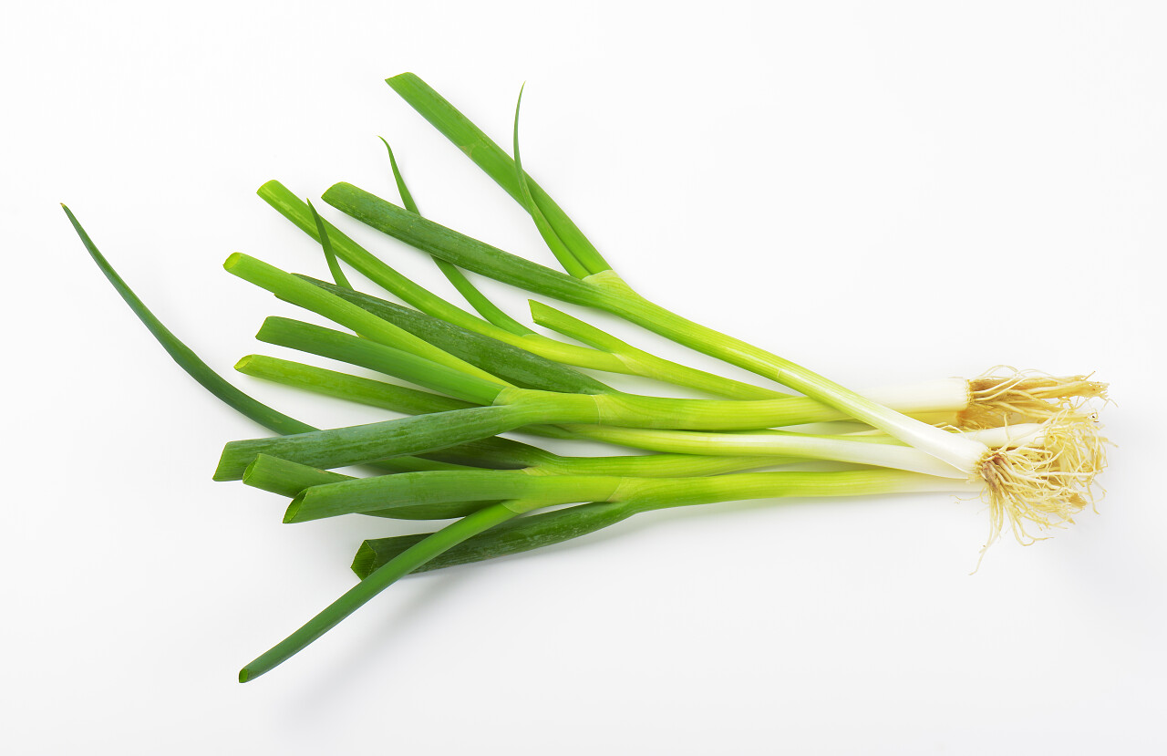 新鲜绿色洋葱