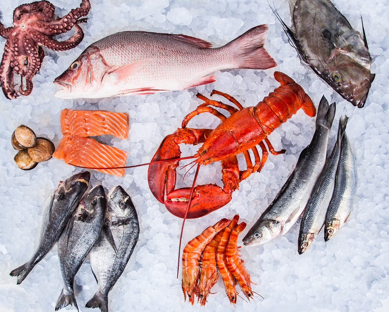 新鲜美味的海鲜放在旧木桌上