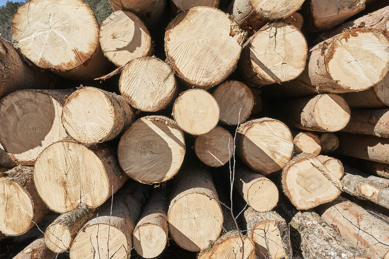 堆放的木头特写