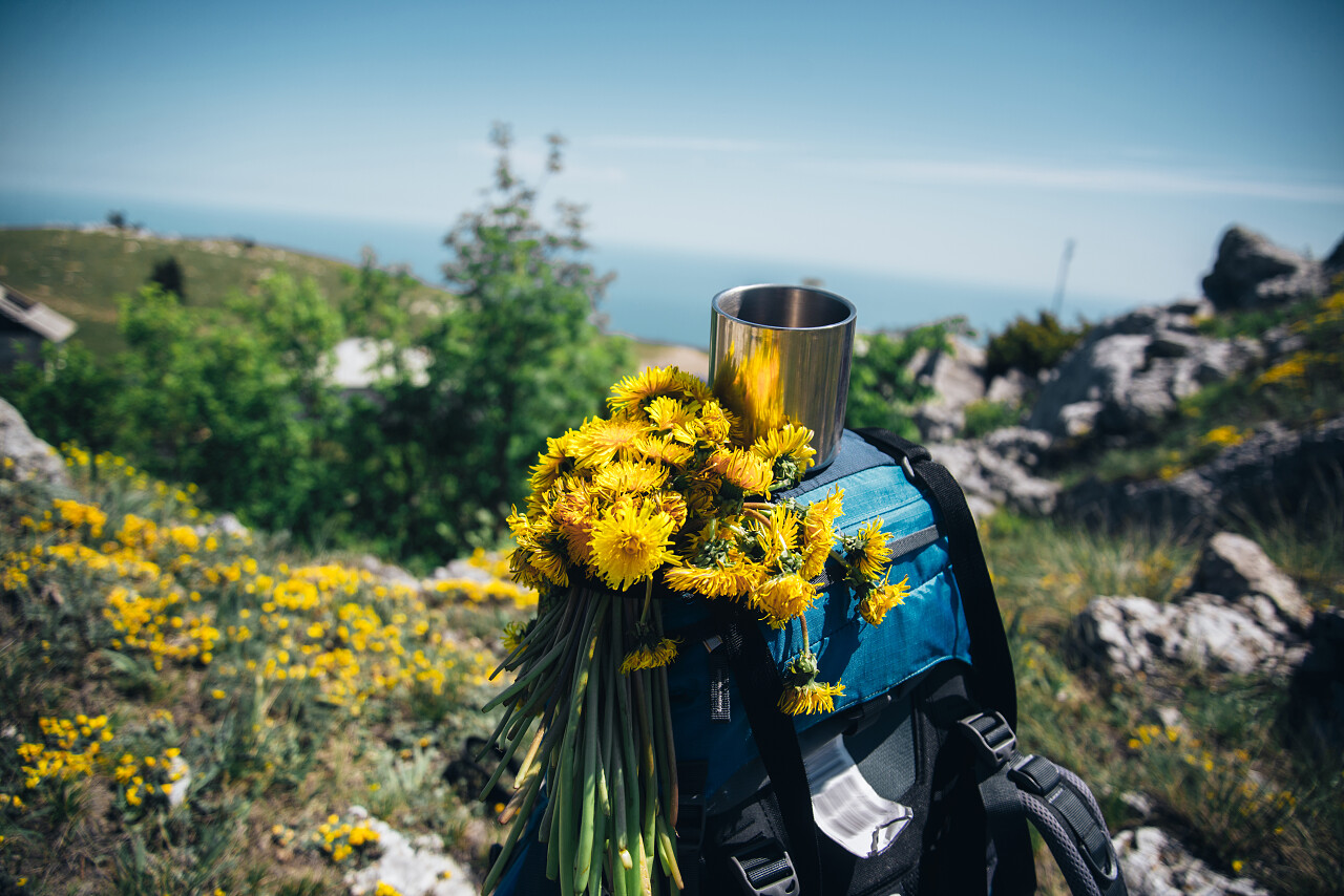 早上在山上帐篷里