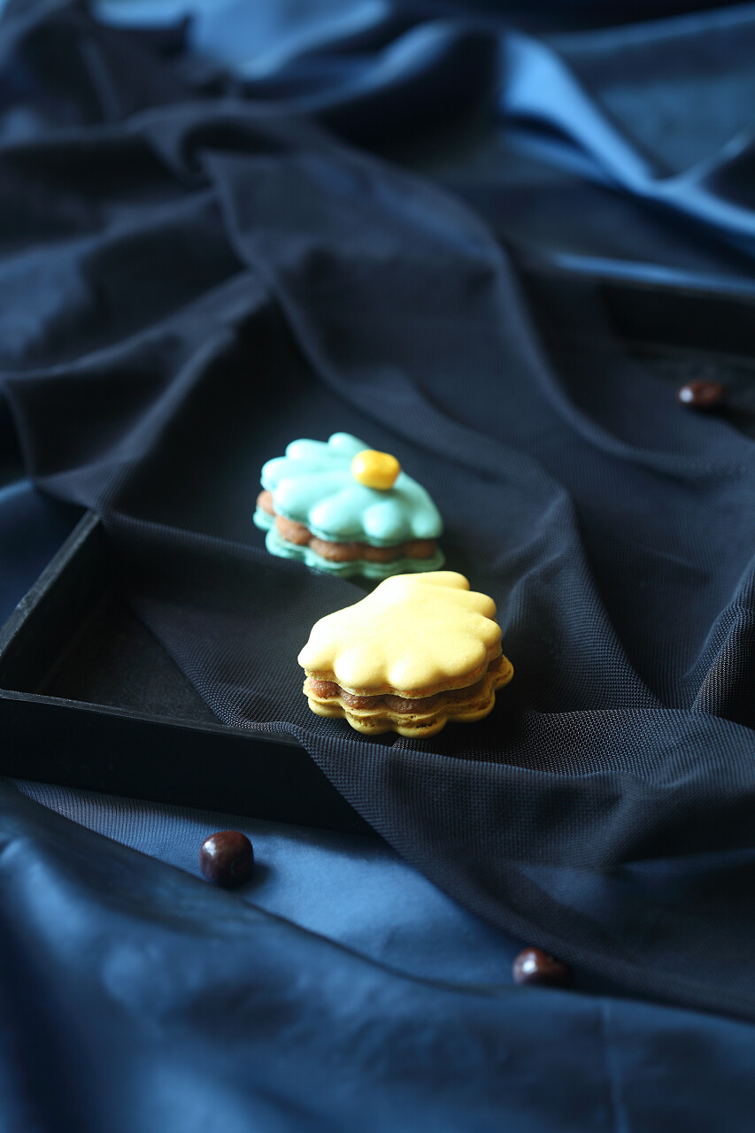 两个蓝色和黑色托盘在深色背景上的黄色贝壳食品