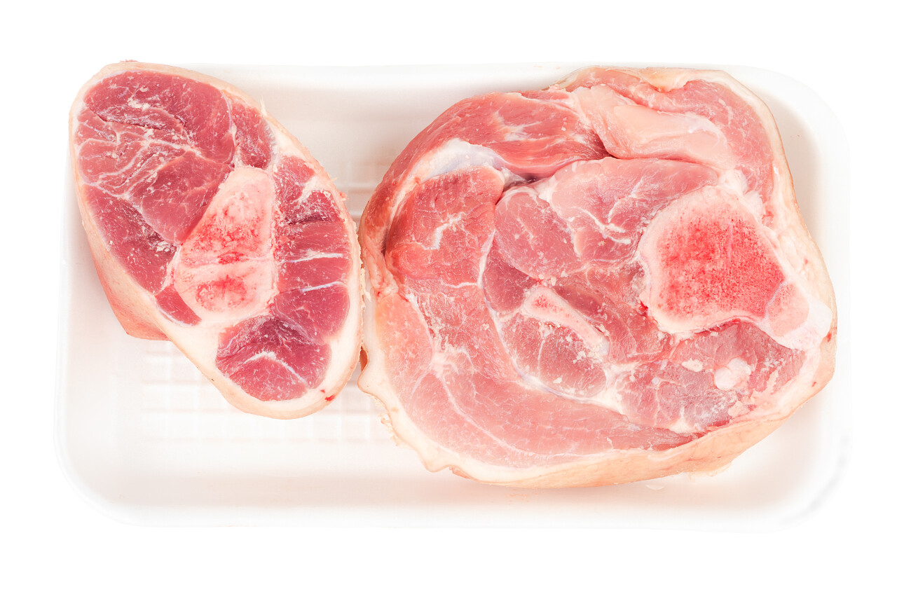 白色背景上的塑料容器的肘子