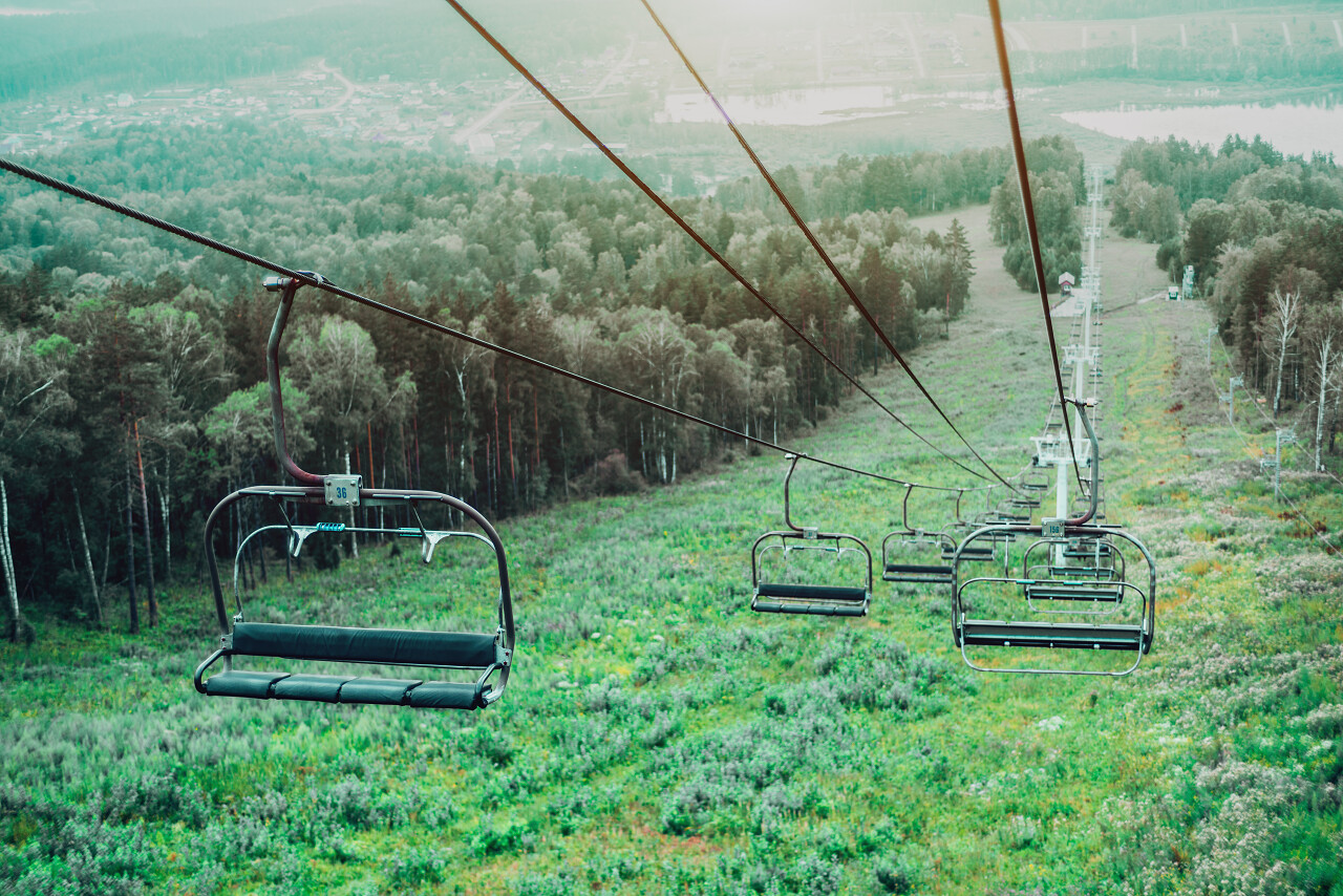 绿色夏天阿尔泰山草地和树木