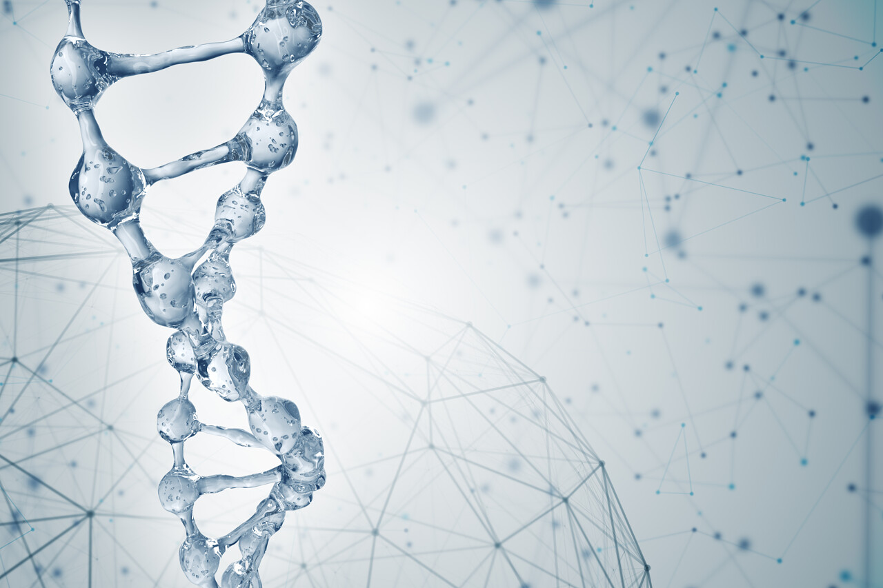 科学背景Dna分子