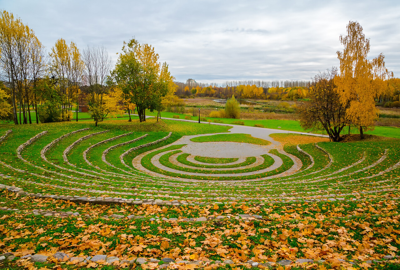 秋天的景观树木与黄色的叶子