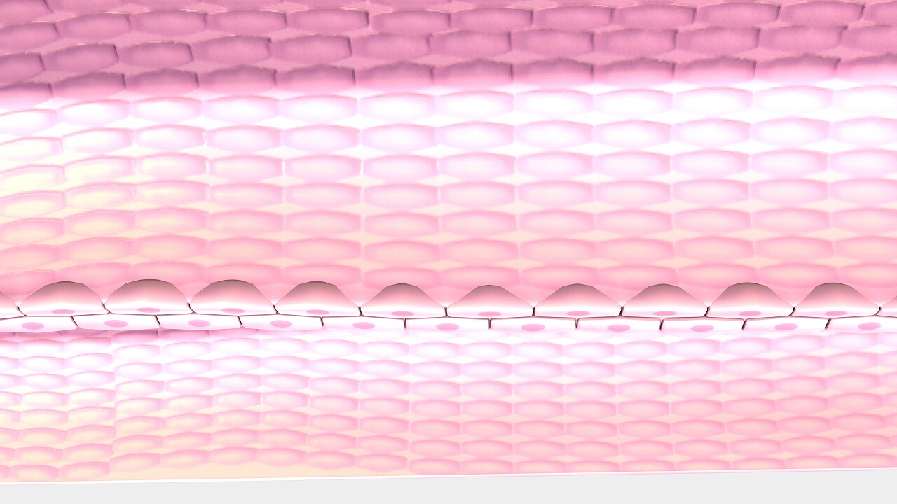 彩色医学3d人体细胞壁模型图解