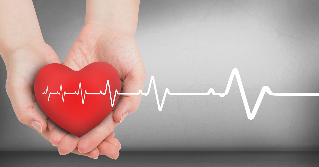 手里捧着的红心