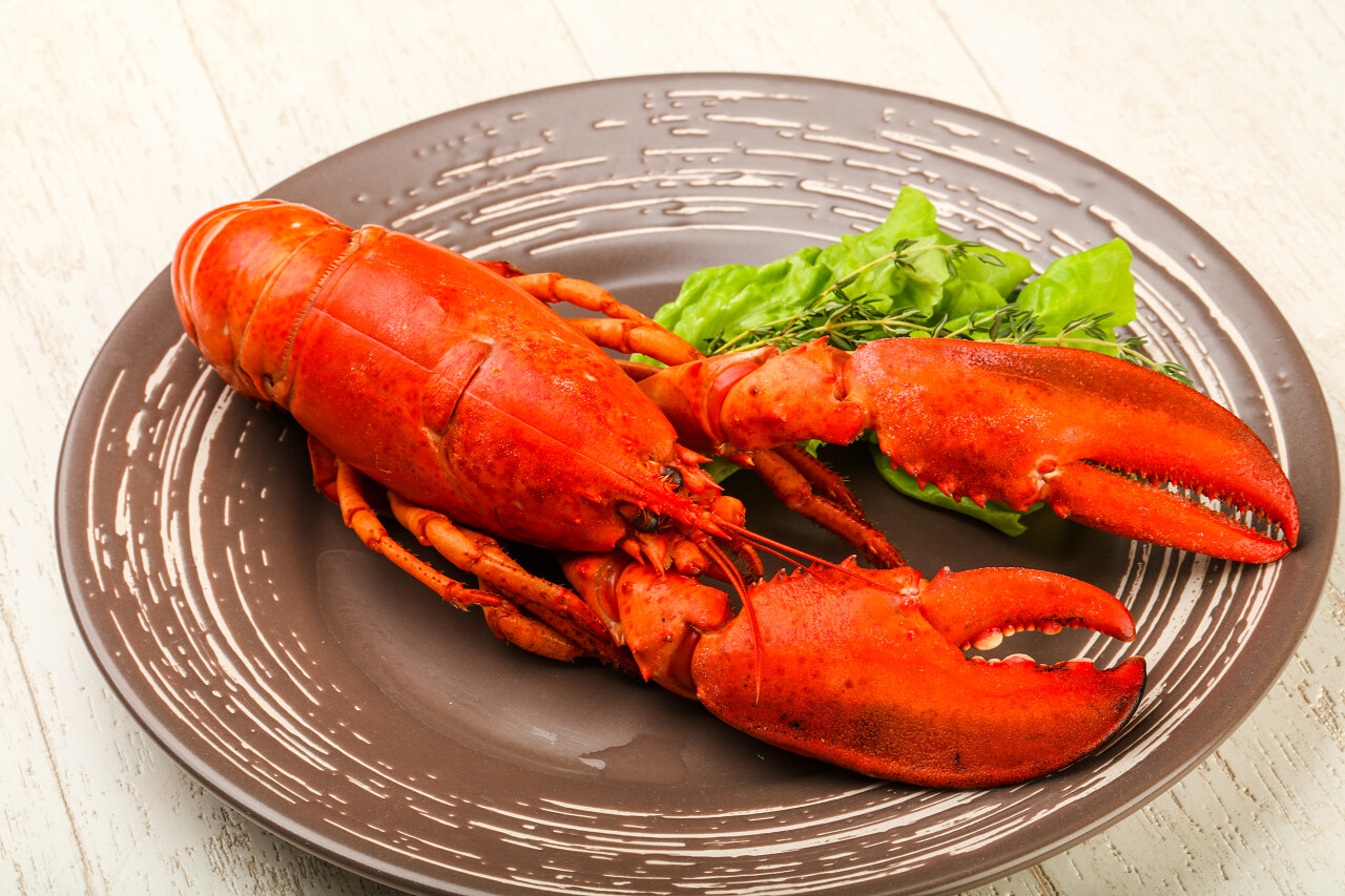 美味的龙虾