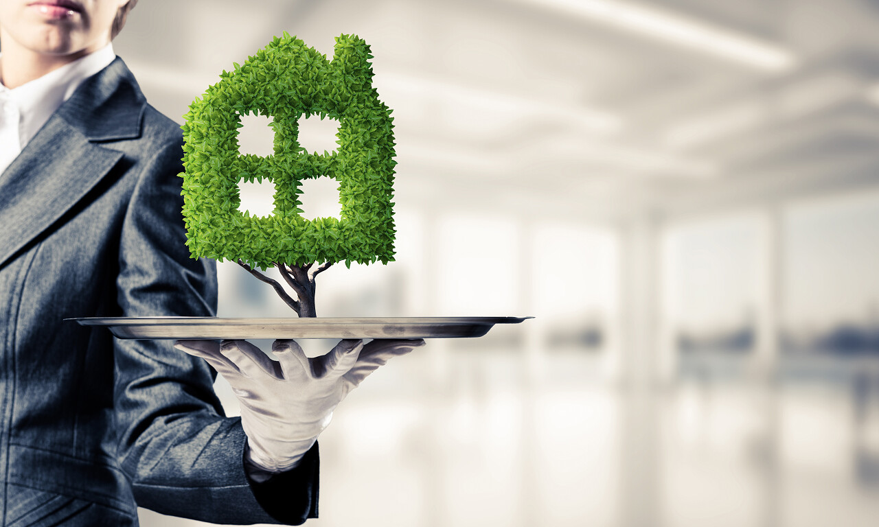 特写的女服务员的手在白色手套呈现绿色植物的形式在金属托盘与办公室的背景下的房子标志