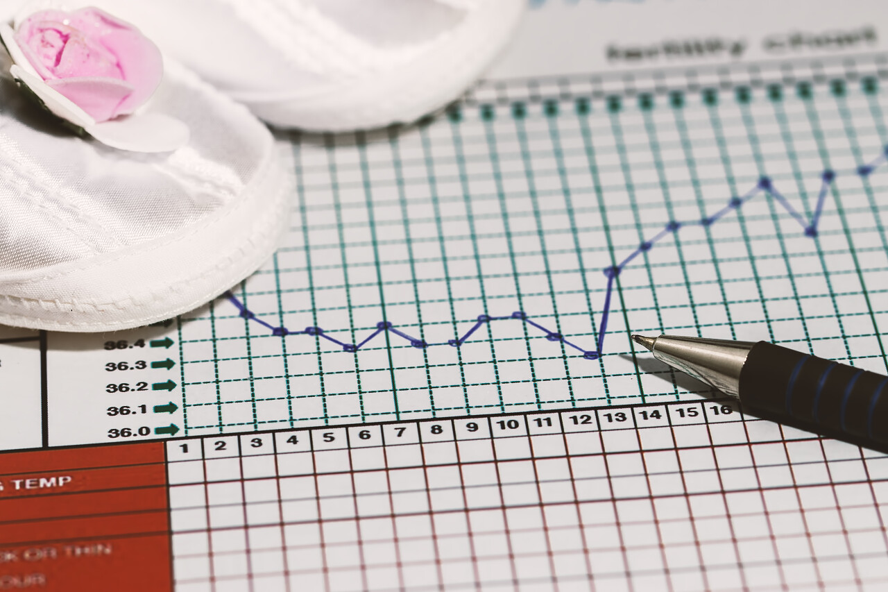 计划怀孕生育率的图表