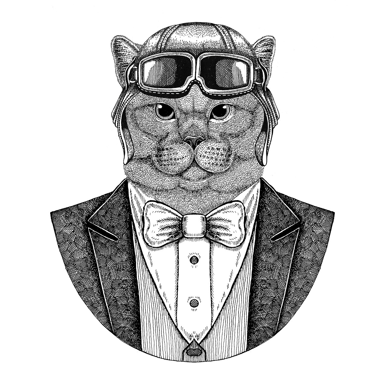 野生动物佩带飞行员头盔和夹克与弓领带飞行俱乐部手绘插图为纹身