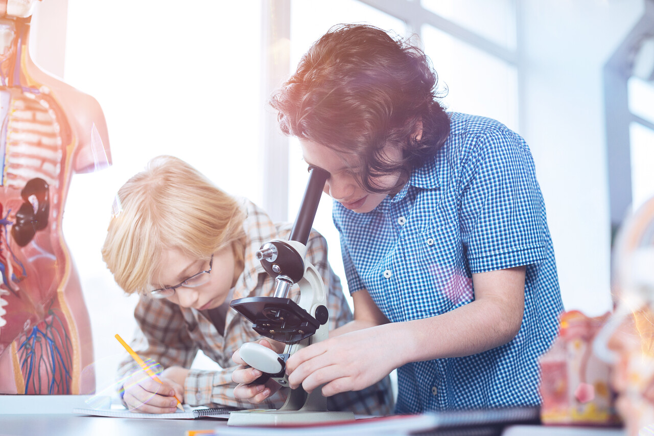 仔细看年轻的持续活跃的男孩工作他们的实验任务