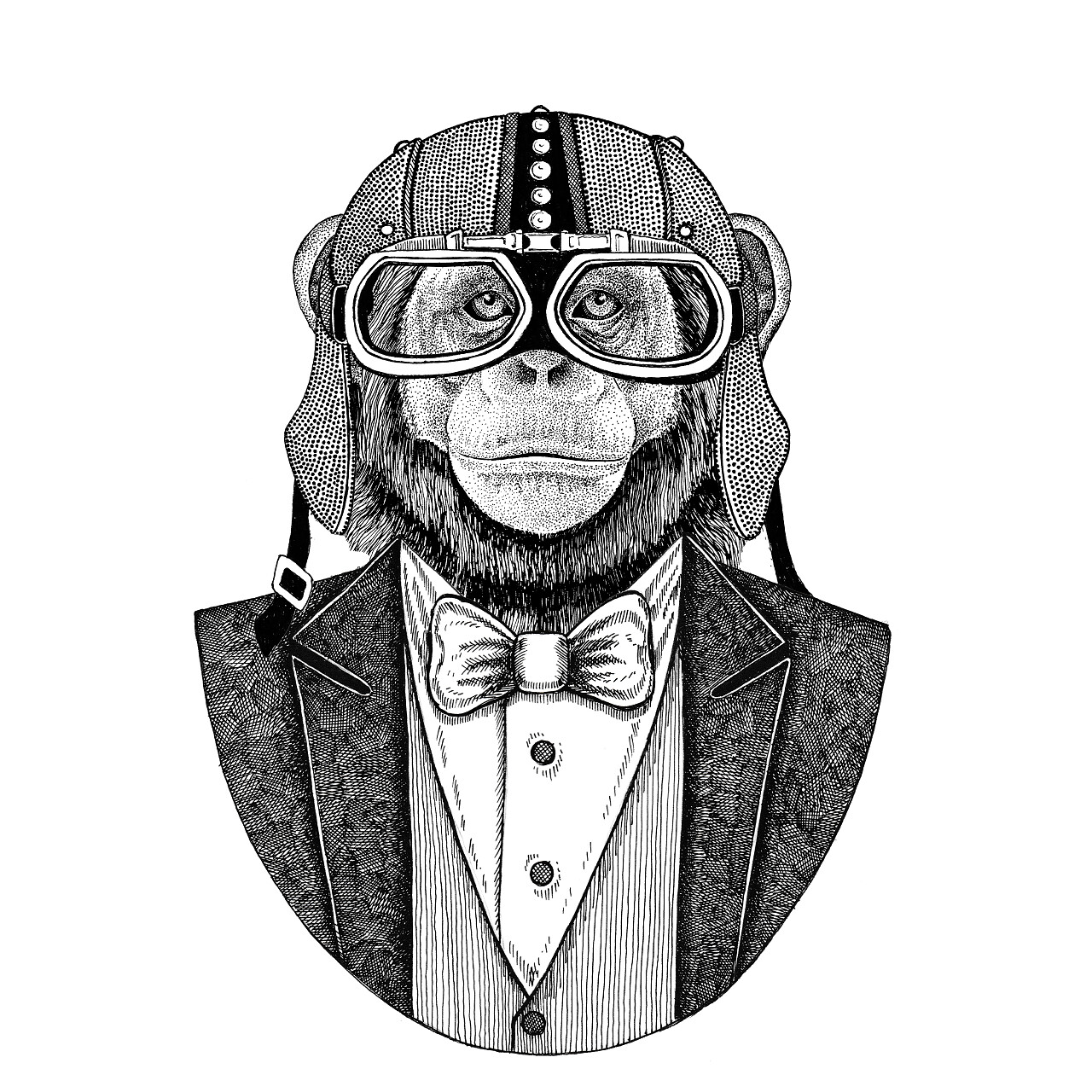 黑猩猩猴动物穿夹克与弓领带和车手头盔或 aviatior 头盔