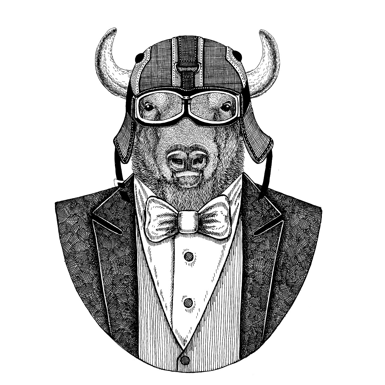 水牛,野牛公牛公牛动物穿夹克与弓领带并且车手盔甲或 aviatior 盔甲