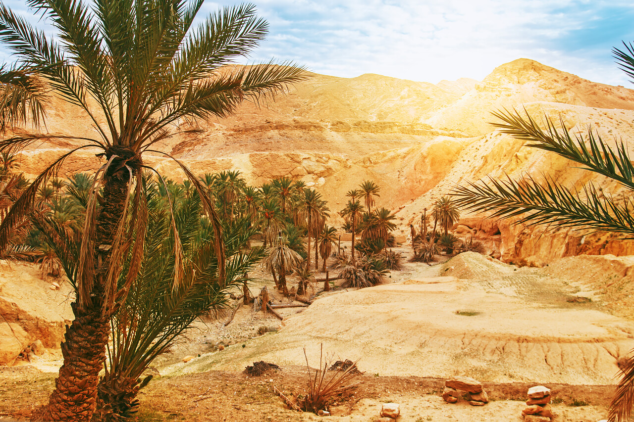 山绿洲奇比卡的风景