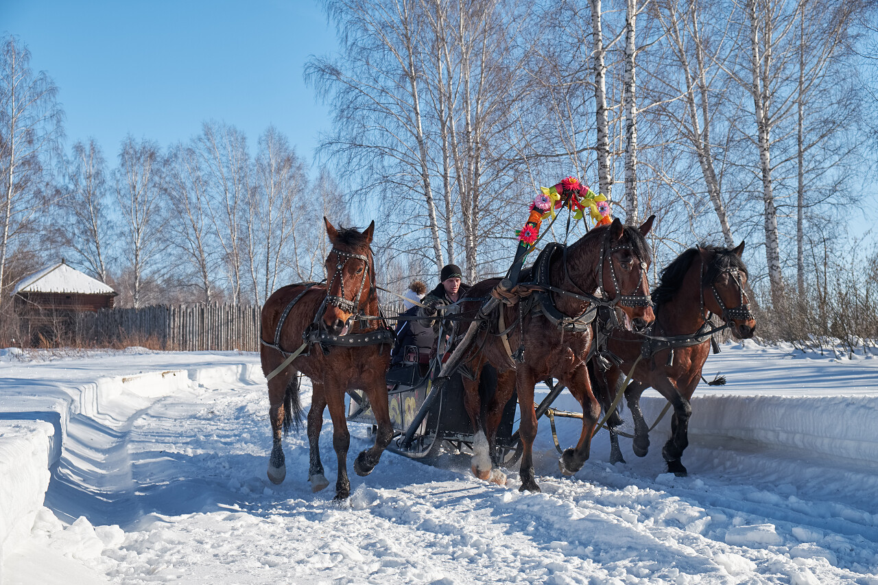 三驾马车被驾驭在雪橇上