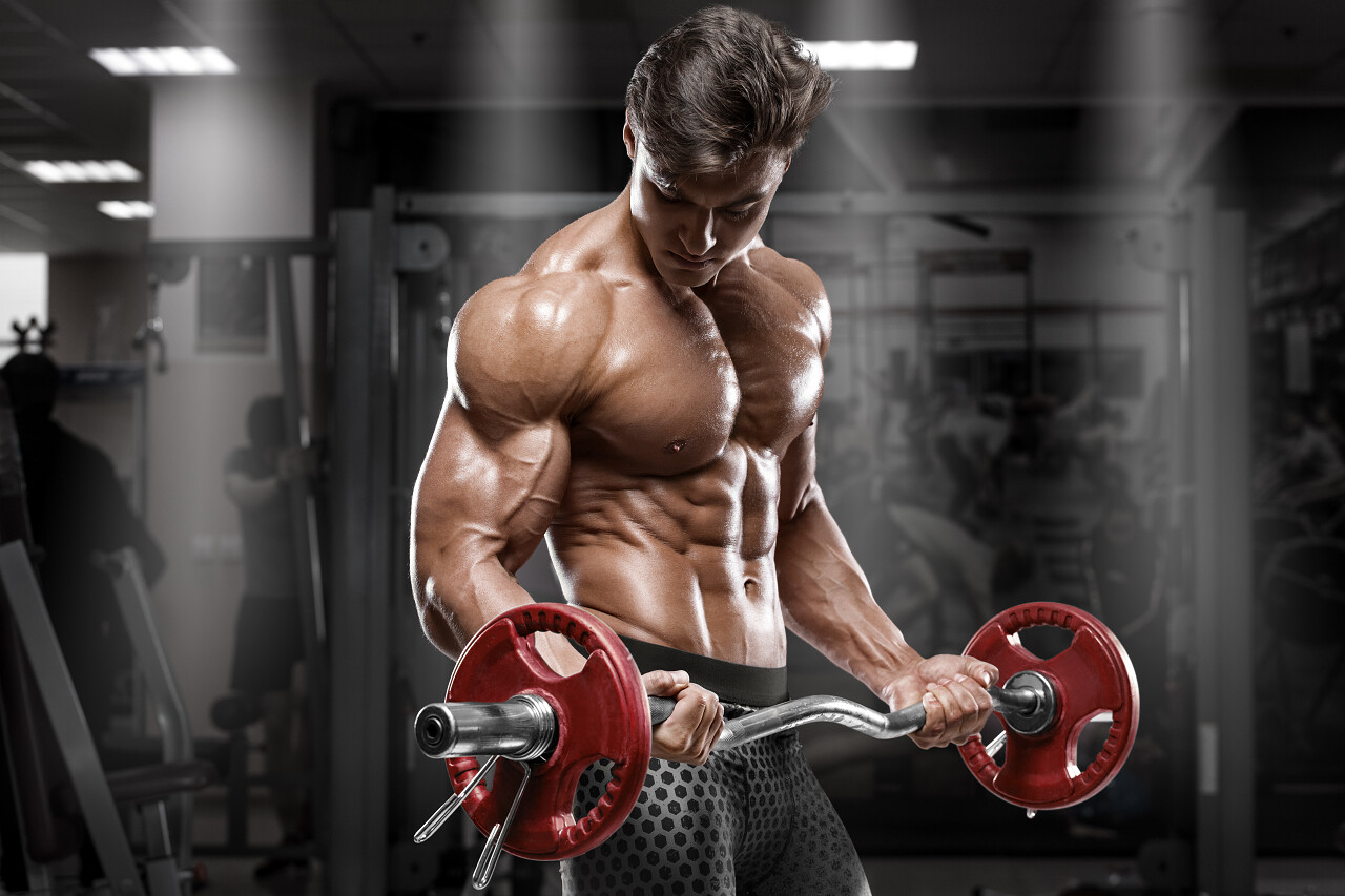肌肉发达的人在健身房锻炼