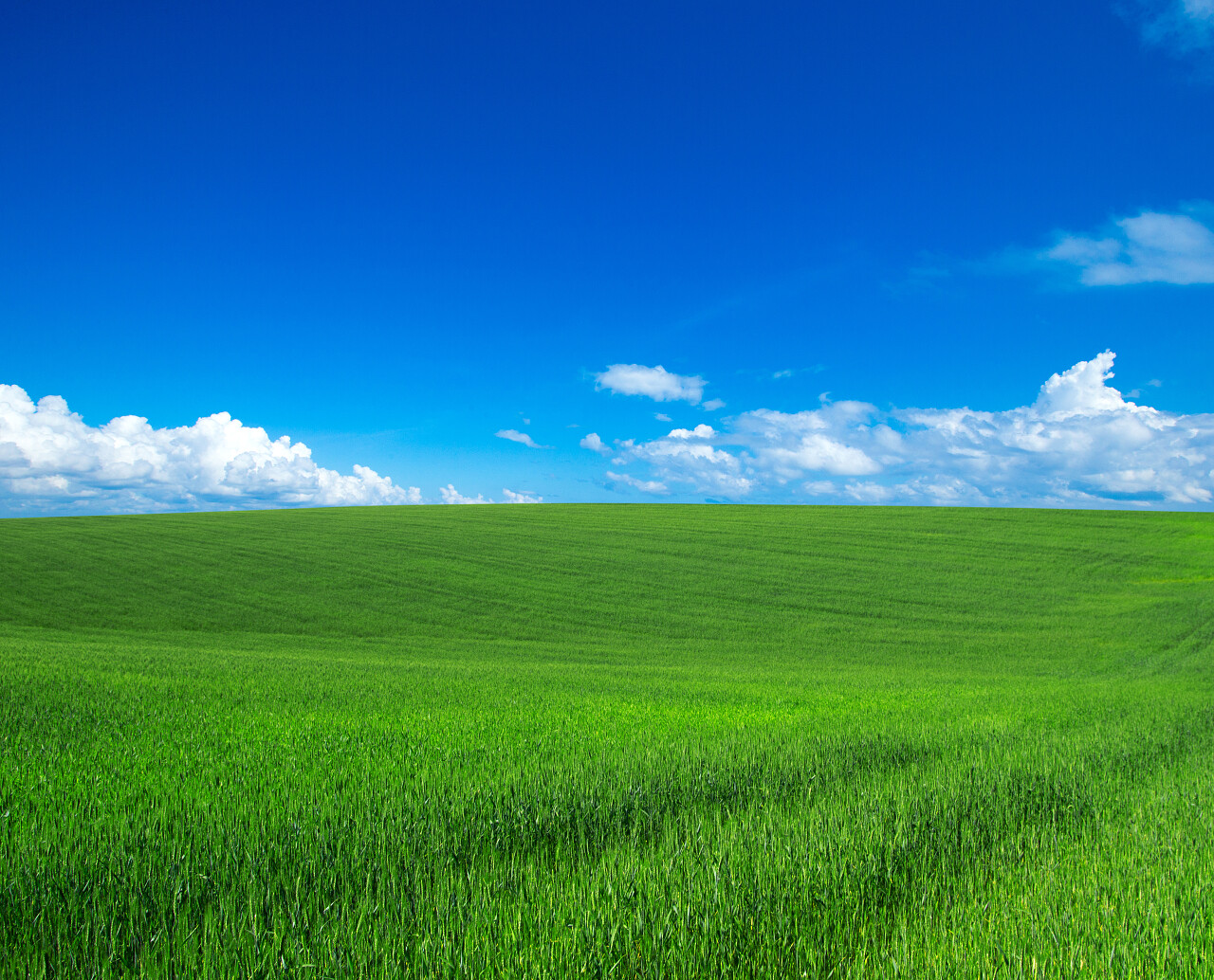 绿色的田野和蓝蓝的天空背景