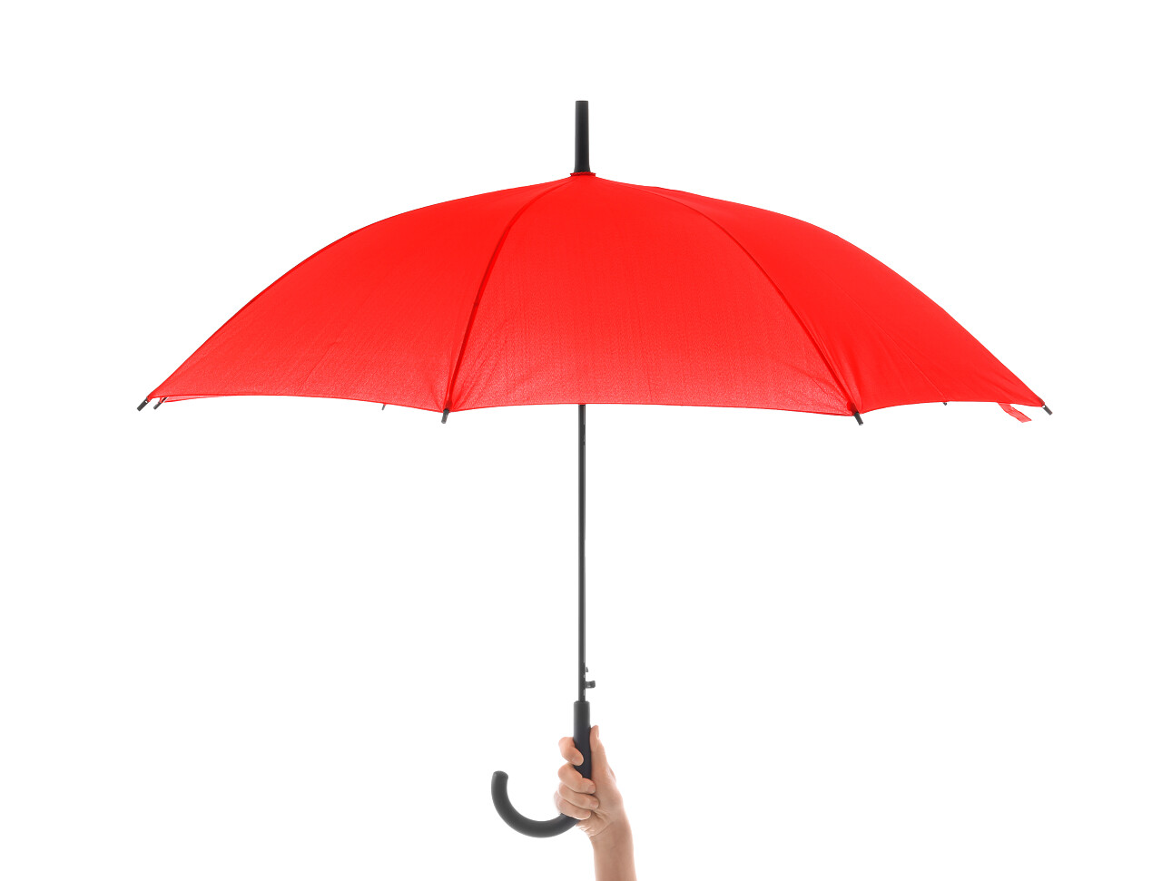 妇女举着时尚的红色雨伞在白色背景上