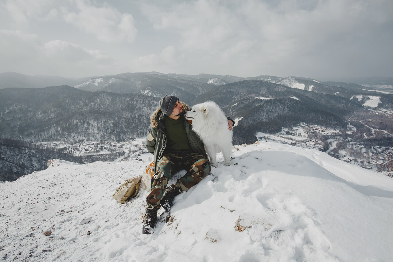 人旅行与萨摩耶狗在山室外的冬季照片