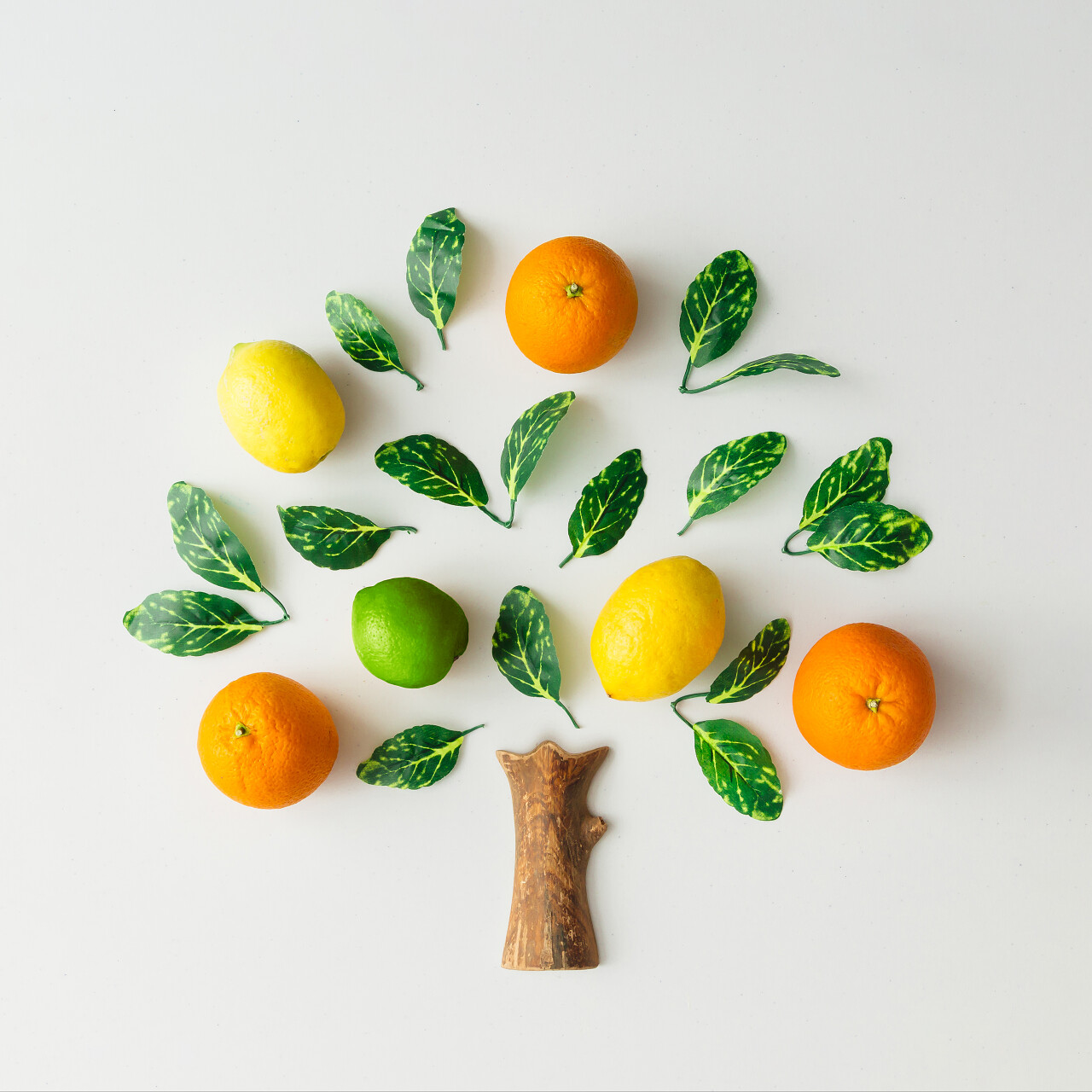 树由柑橘桔子石灰和绿叶在明亮的背景下制成